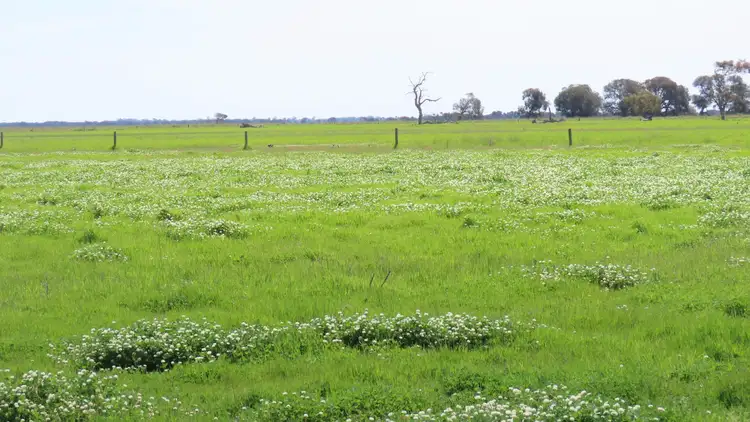 Fifth view of Homely rural property listing, Lot 141 Three Chain Road, Greenways SA 5272