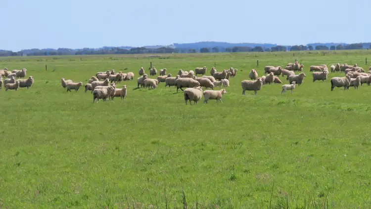 Seventh view of Homely rural property listing, Lot 141 Three Chain Road, Greenways SA 5272