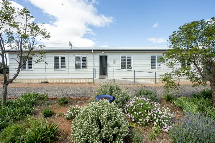 10 Joyce Road, Warnertown SA 5540
