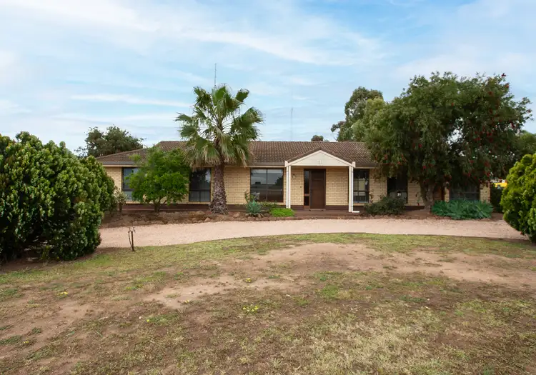 Main view of Homely house listing, 31 Wearn St, Kadina SA 5554