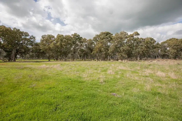 Sixth view of Homely rural property listing, Sections/147 & 149 Black Range Road, Lucindale SA 5272