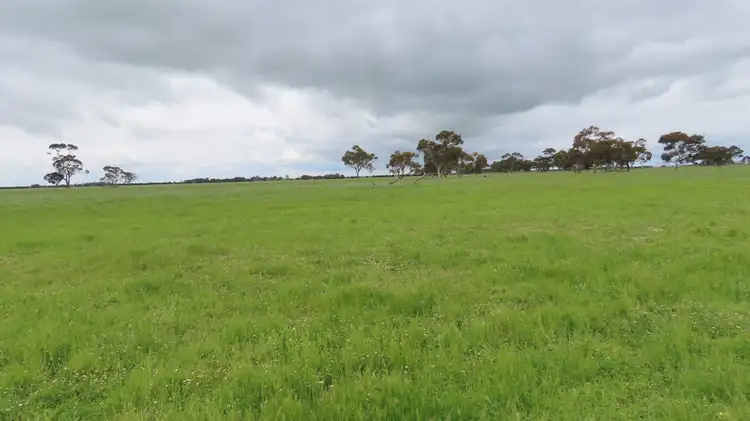Seventh view of Homely rural property listing, Sections/147 & 149 Black Range Road, Lucindale SA 5272
