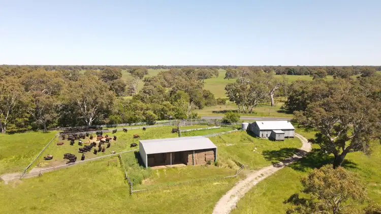 Fourth view of Homely rural property listing, 1324 Old Kalangadoo-Penola Rd, Monbulla SA 5277