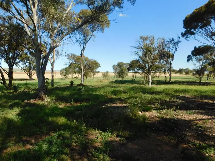 Second view of Homely house listing, 149 Powerline Rd, Gladstone SA 5473
