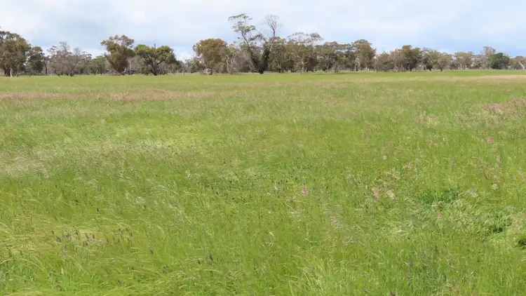 Third view of Homely rural property listing, Rivets Road, Avenue Range SA 5273