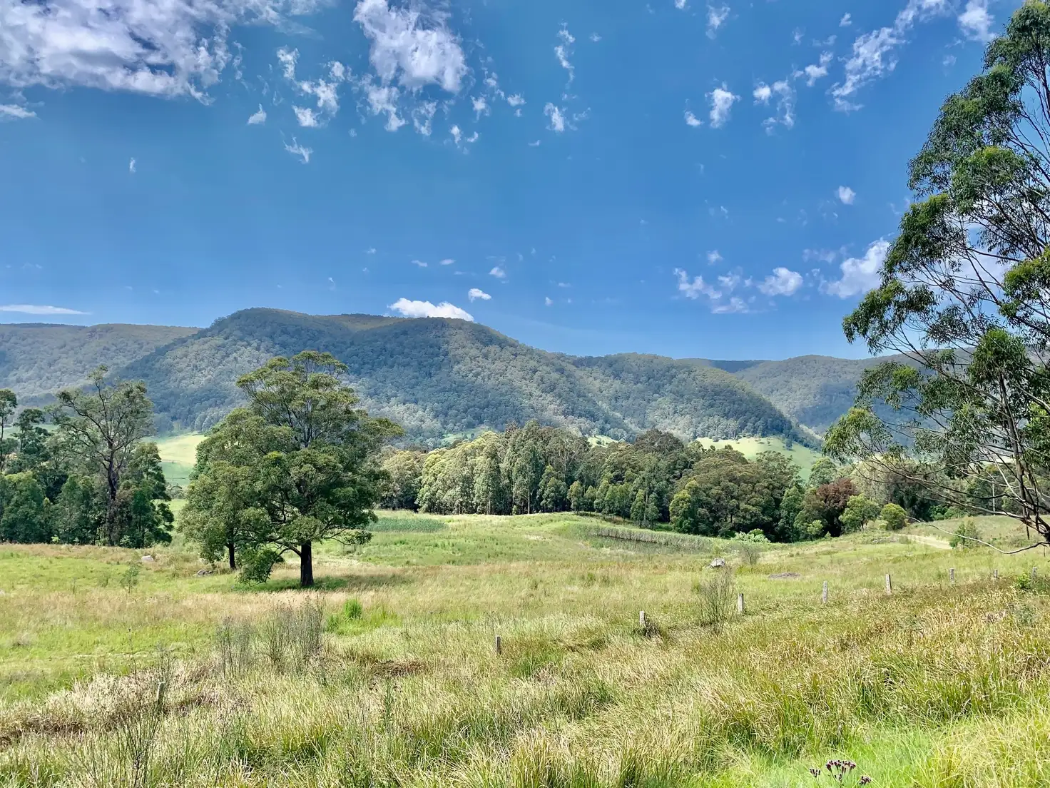 Main view of Homely rural property listing, 1375 Congewai Rd, Congewai NSW 2325