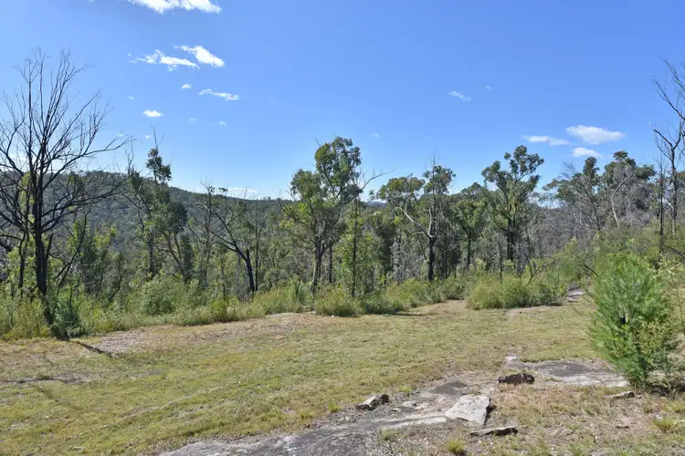 Third view of Homely rural property listing, 238 Bagnalls Creek Rd, Paynes Crossing NSW 2325