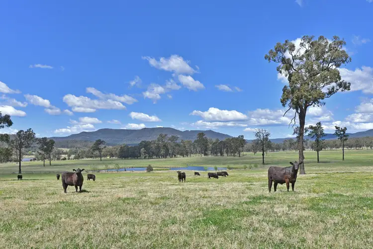 Fifth view of Homely rural property listing, 150 Listers Lane, Congewai NSW 2325
