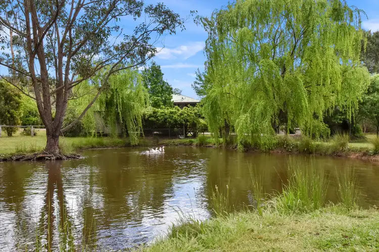 Second view of Homely rural property listing, 2824 Paynes Crossing Rd, Wollombi NSW 2325