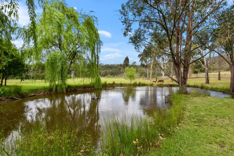 Third view of Homely rural property listing, 2824 Paynes Crossing Rd, Wollombi NSW 2325