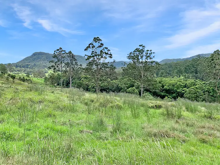 Fourth view of Homely rural property listing, 1646 Congewai Rd, Congewai NSW 2325