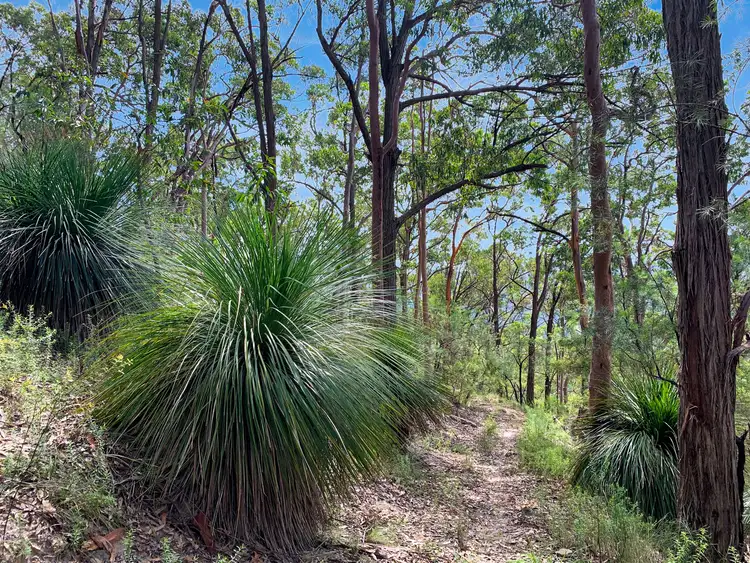 Third view of Homely rural property listing, 101 Olney Arm Road, Laguna NSW 2325