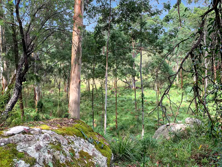 Fourth view of Homely rural property listing, 101 Olney Arm Road, Laguna NSW 2325