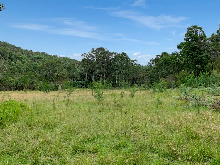 Fifth view of Homely rural property listing, 101 Olney Arm Road, Laguna NSW 2325