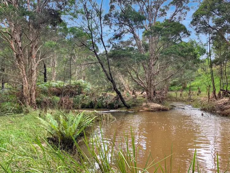 Sixth view of Homely rural property listing, 101 Olney Arm Road, Laguna NSW 2325