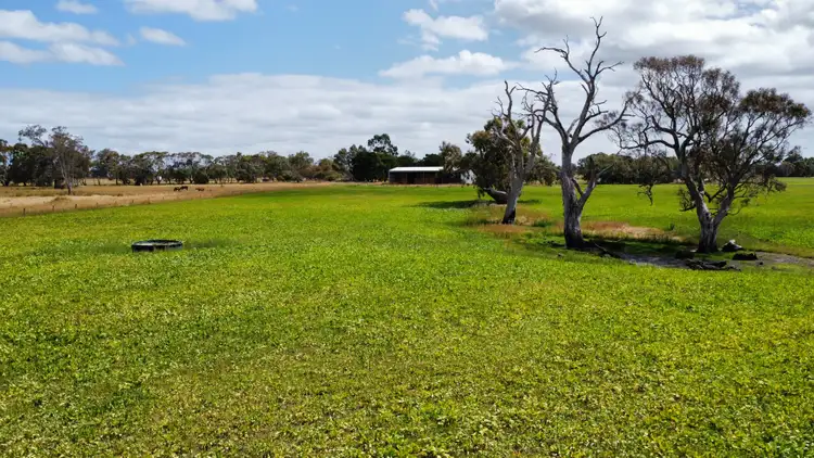 Seventh view of Homely rural property listing, 448 Wepar Rd, Wepar SA 5278