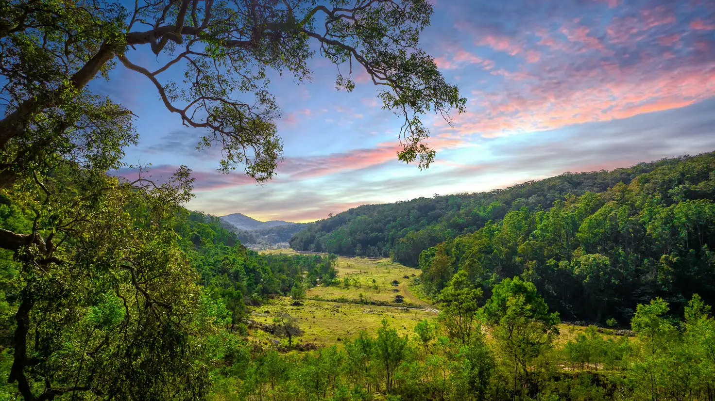 Main view of Homely rural property listing, Lot 1 Hitcham Park Murrays Run Road, Laguna NSW 2325