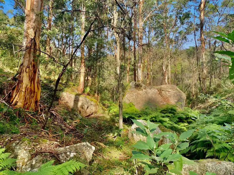 Fifth view of Homely rural property listing, Lot 1 Hitcham Park Murrays Run Road, Laguna NSW 2325