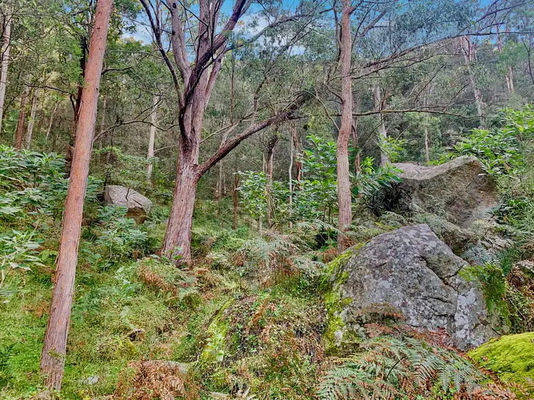 Sixth view of Homely rural property listing, Lot 1 Hitcham Park Murrays Run Road, Laguna NSW 2325