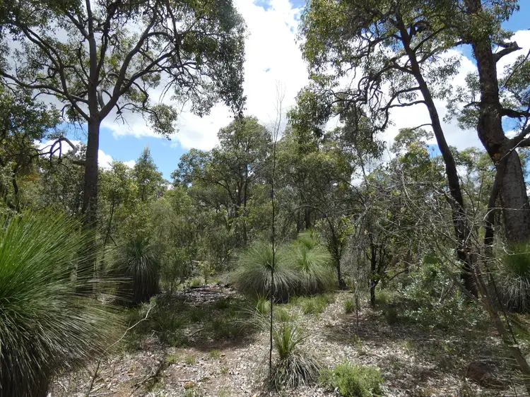 Main view of Homely land listing, 1755 Julimar Road, Julimar WA 6567