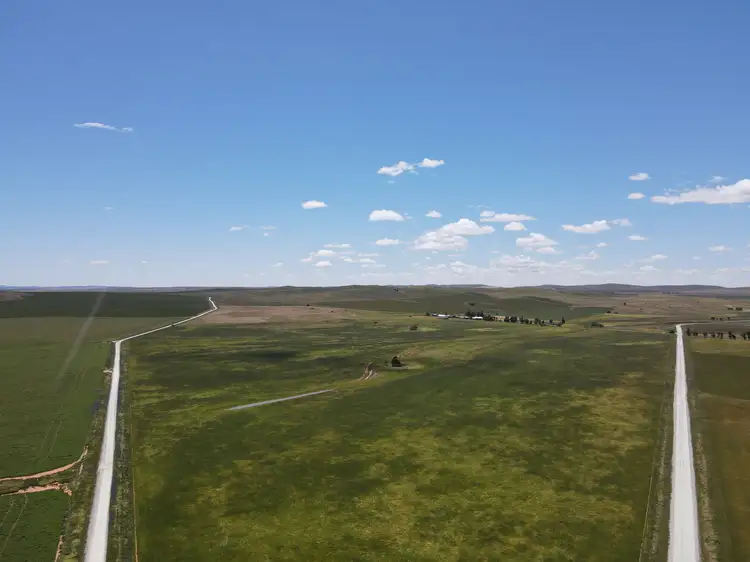 Main view of Homely rural property listing, 1256 Belalie Rd, Canowie Belt SA 5420