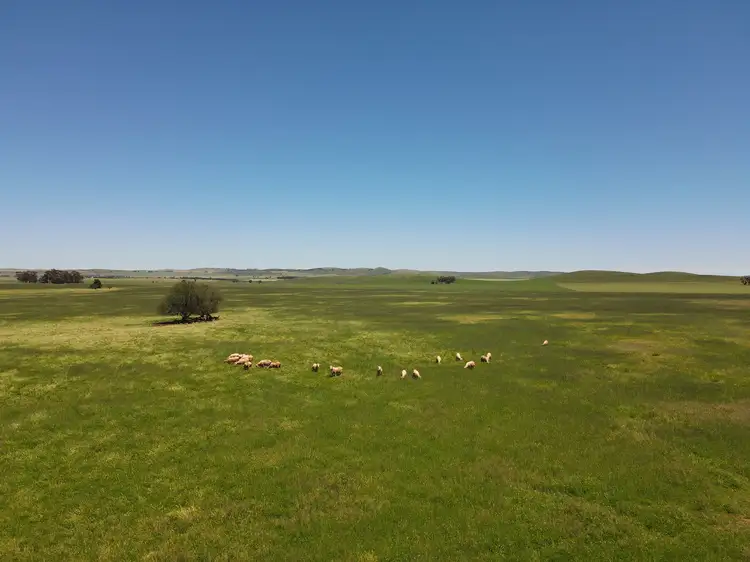 Second view of Homely rural property listing, 1256 Belalie Rd, Canowie Belt SA 5420