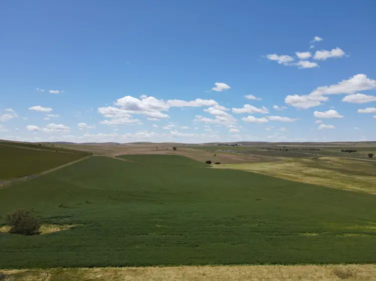 Sixth view of Homely rural property listing, 1256 Belalie Rd, Canowie Belt SA 5420