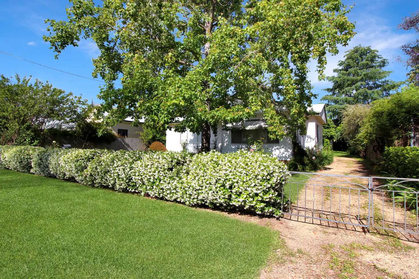 Main view of Homely house listing, 44 Waverley St, Scone NSW 2337