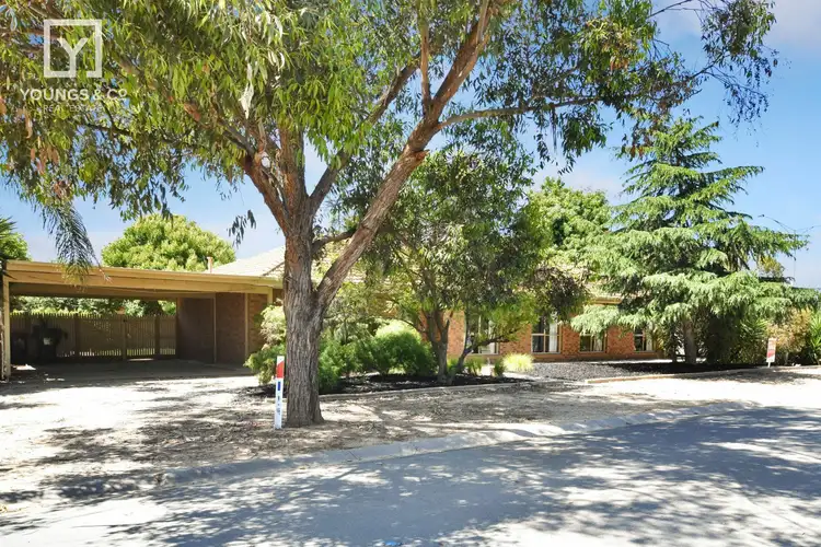 Third view of Homely house listing, 59 Kialla Lakes Dr, Kialla VIC 3631