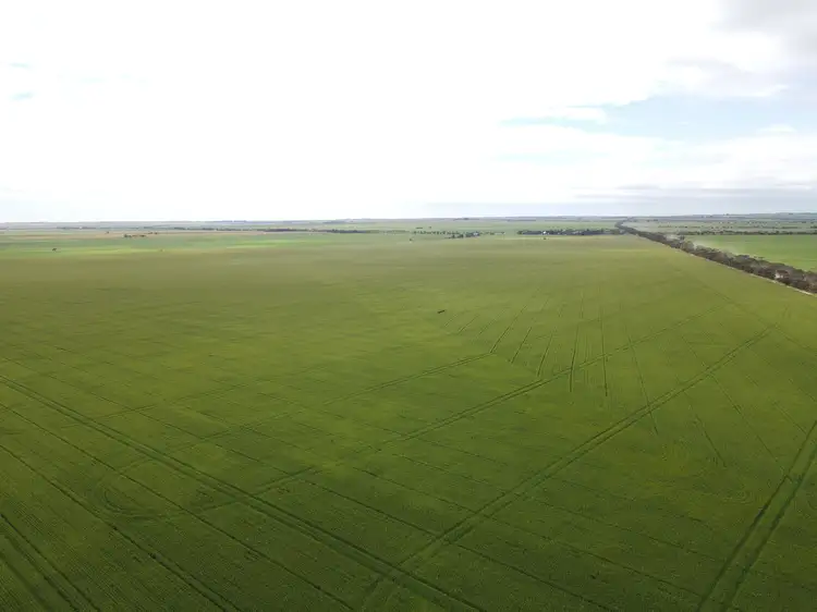 Main view of Homely rural property listing, Sections 253N & 253S Smith Road, Yorke Valley SA 5573
