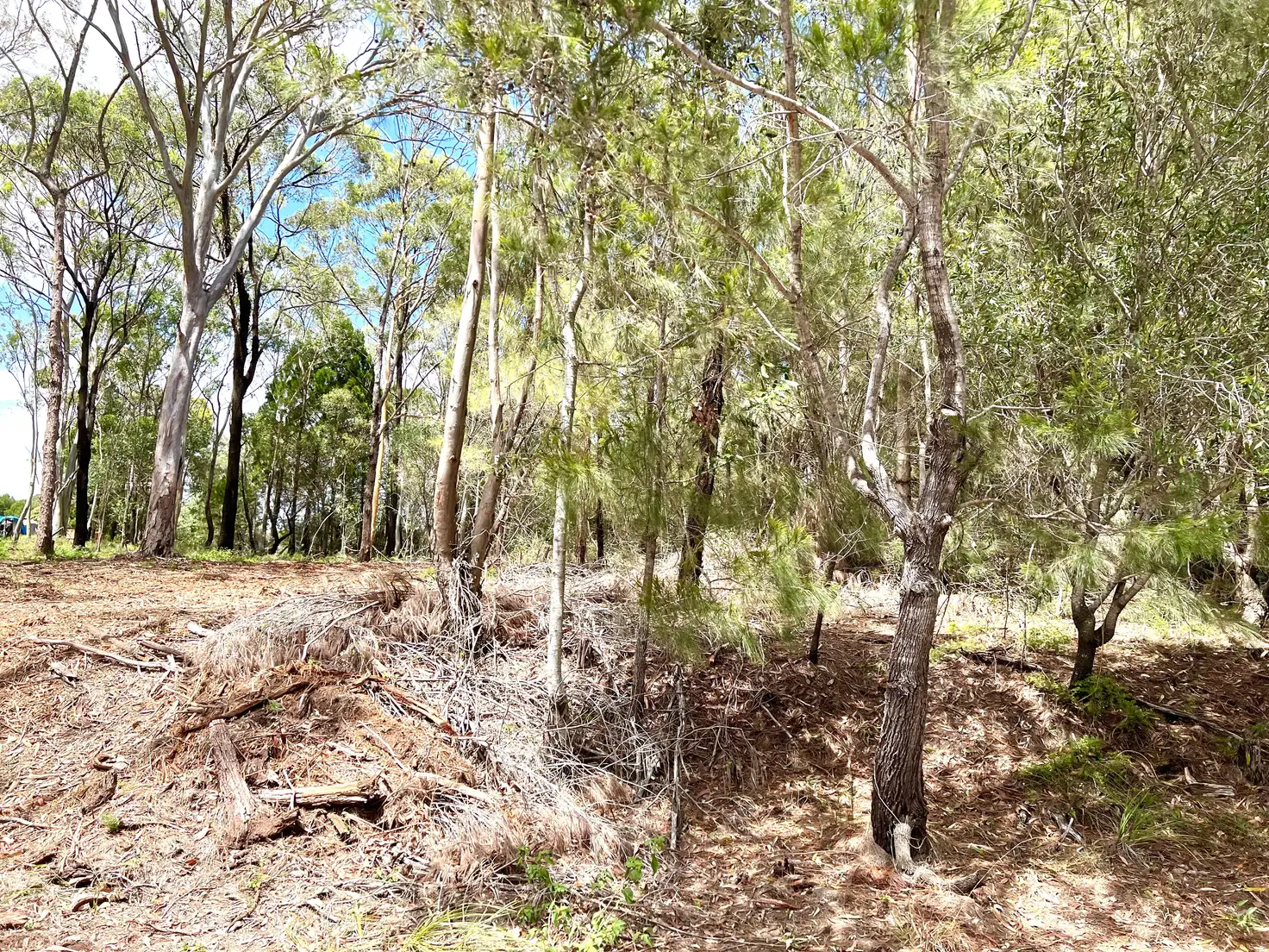 Main view of Homely land listing, 6 Highland Ridge Rd, Russell Island QLD 4184