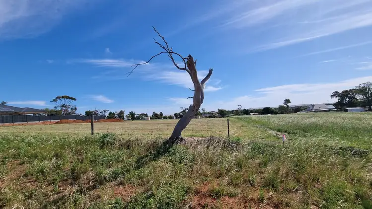Second view of Homely land listing, 9 Sunkist Road, Crystal Brook SA 5523