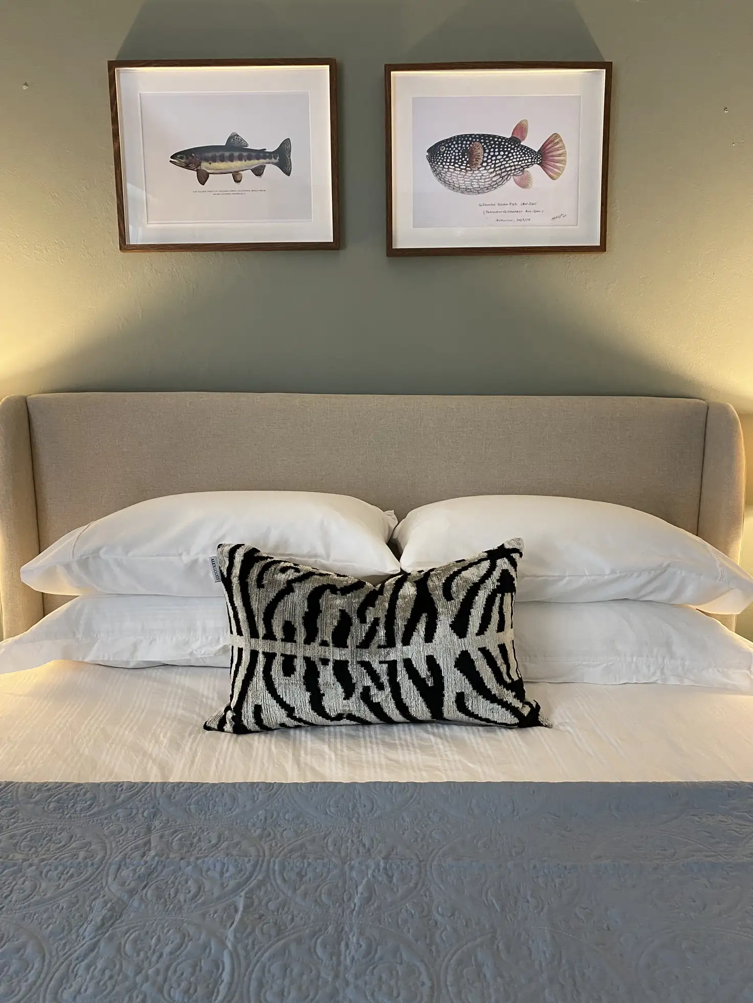 Main view of Homely studio listing, Unit 24/117 Macleay St, Potts Point NSW 2011
