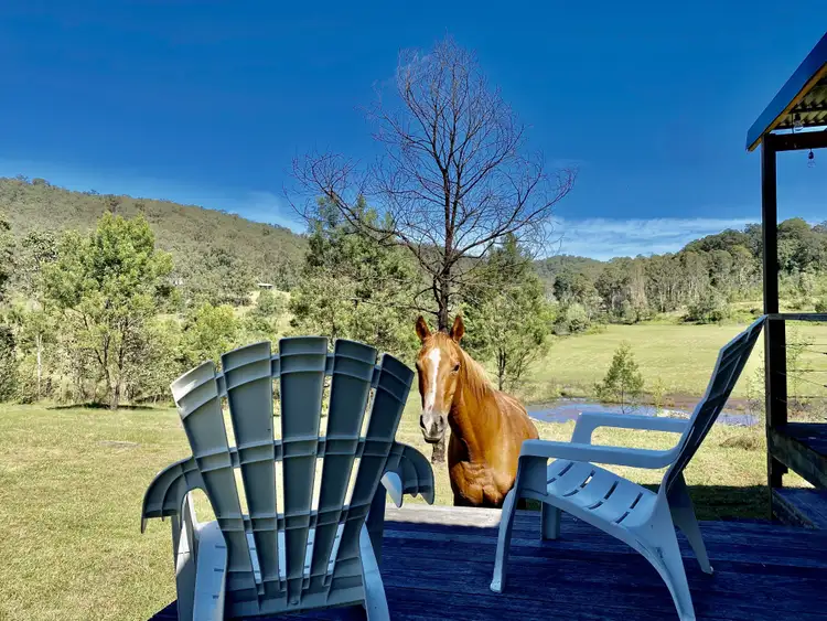 Sixth view of Homely rural property listing, 234 Upper Yango Creek Rd, Laguna NSW 2325
