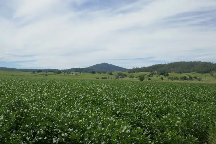 Sixth view of Homely rural property listing, Lot 2 Hillyard's Road, Kyogle NSW 2474