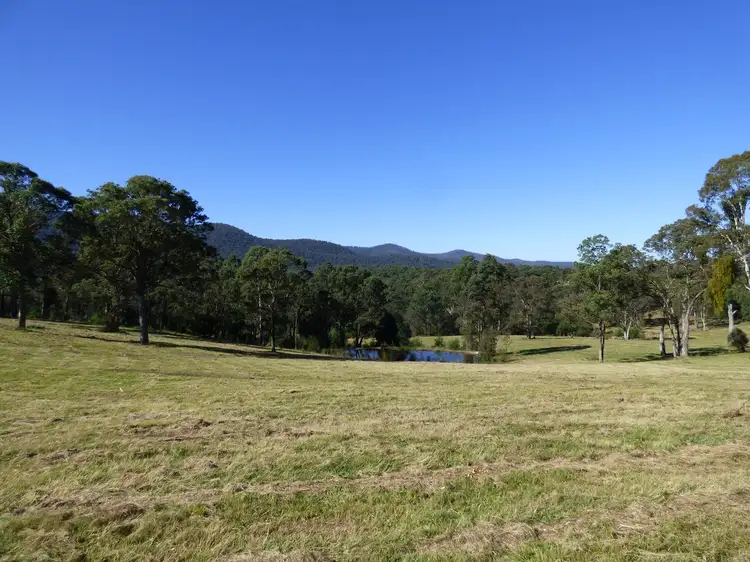 Second view of Homely rural property listing, 6 Genoa St, Towamba NSW 2550