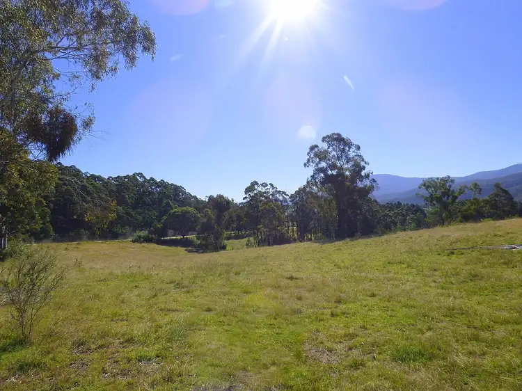 Fourth view of Homely rural property listing, 6 Genoa St, Towamba NSW 2550