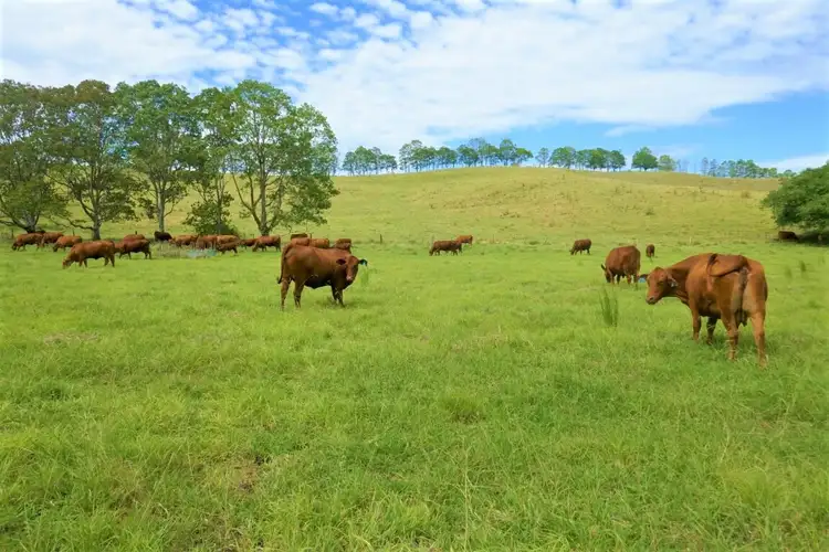 46 Lynch's Creek Road, Kyogle NSW 2474