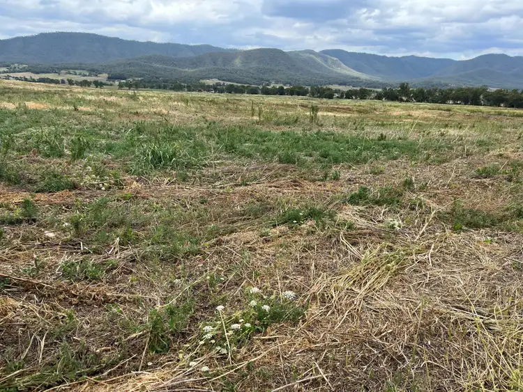Fourth view of Homely rural property listing, Lot 444 Swanfels Road, Swanfels QLD 4371