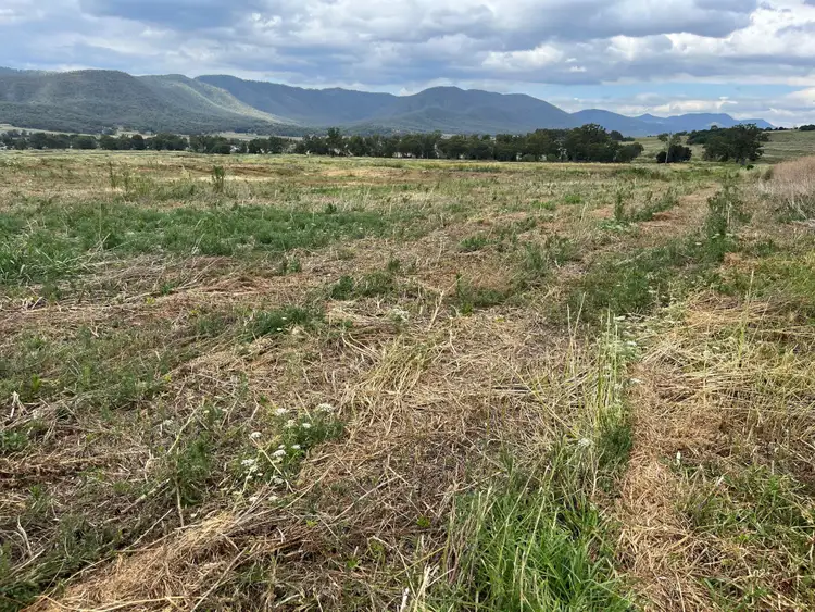 Fifth view of Homely rural property listing, Lot 444 Swanfels Road, Swanfels QLD 4371