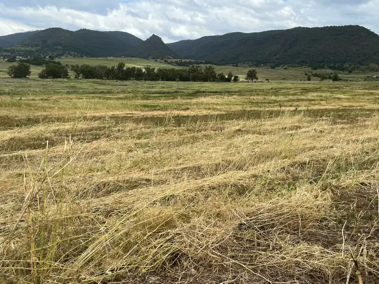 Sixth view of Homely rural property listing, Lot 444 Swanfels Road, Swanfels QLD 4371