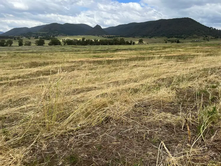 Seventh view of Homely rural property listing, Lot 444 Swanfels Road, Swanfels QLD 4371