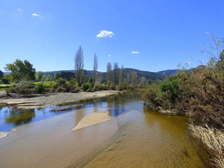 Third view of Homely rural property listing, "Riverview" 2460 Towamba Road, Towamba NSW 2550