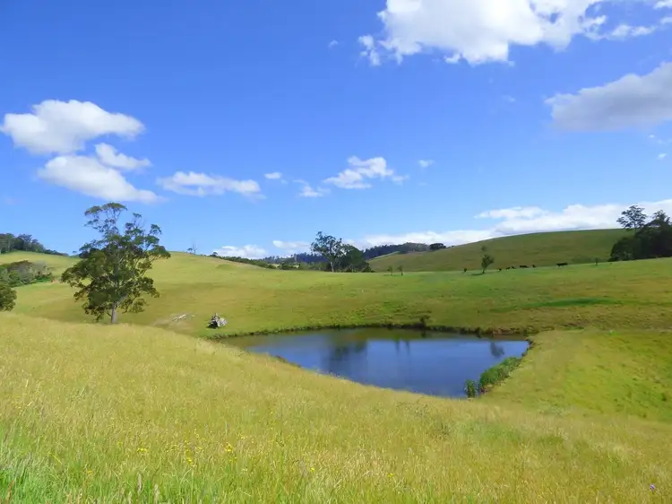 Main view of Homely rural property listing, 732 Nethercote Rd, Nethercote NSW 2549
