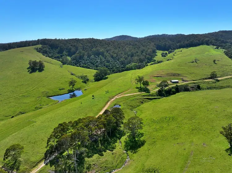 Second view of Homely rural property listing, 732 Nethercote Rd, Nethercote NSW 2549