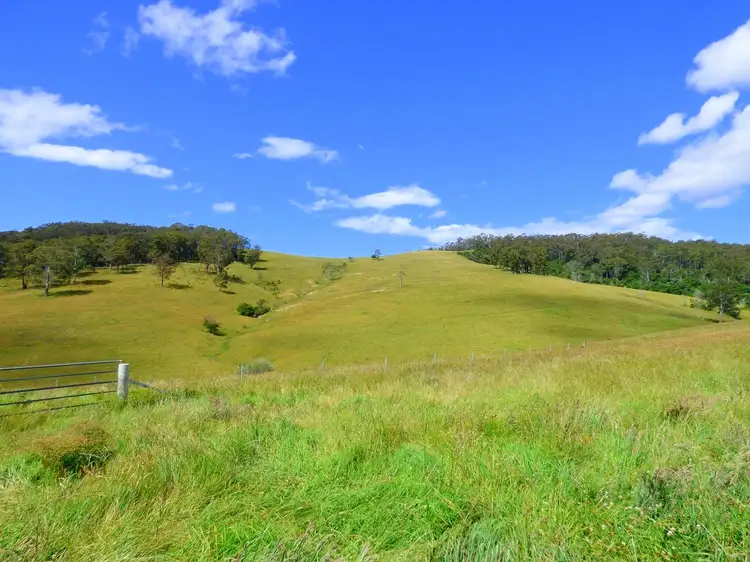 Fifth view of Homely rural property listing, 732 Nethercote Rd, Nethercote NSW 2549