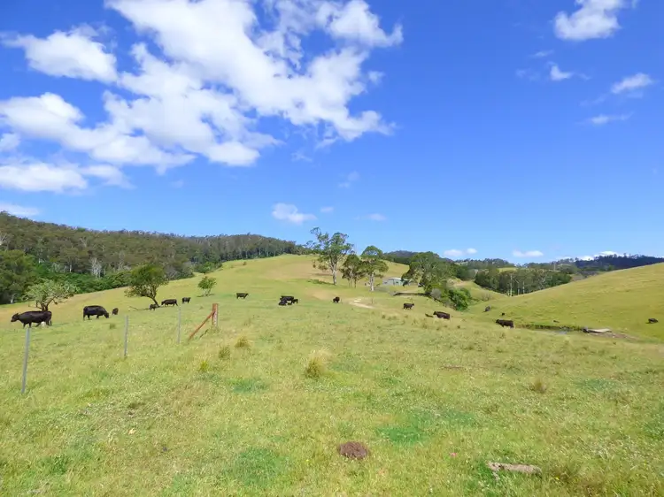 Sixth view of Homely rural property listing, 732 Nethercote Rd, Nethercote NSW 2549