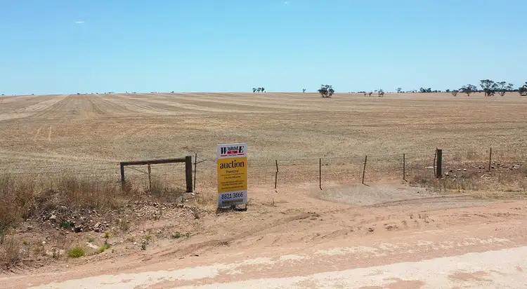 Main view of Homely rural property listing, Section 495 Stenning Road, Paskeville SA 5552