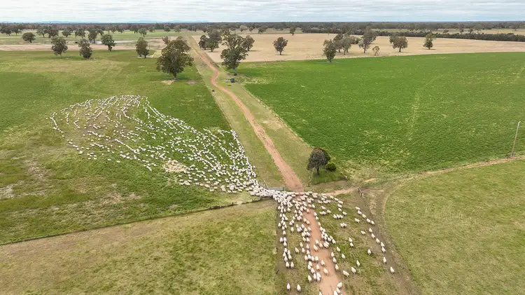 Sixth view of Homely rural property listing, 6159 Coleraine-Edenhope Rd, Harrow VIC 3317