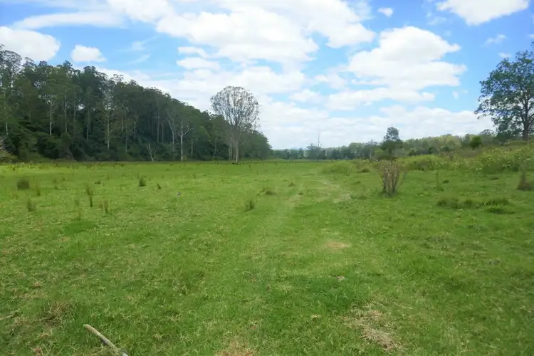 Third view of Homely rural property listing, 421 Babyl Creek Road, Kyogle NSW 2474